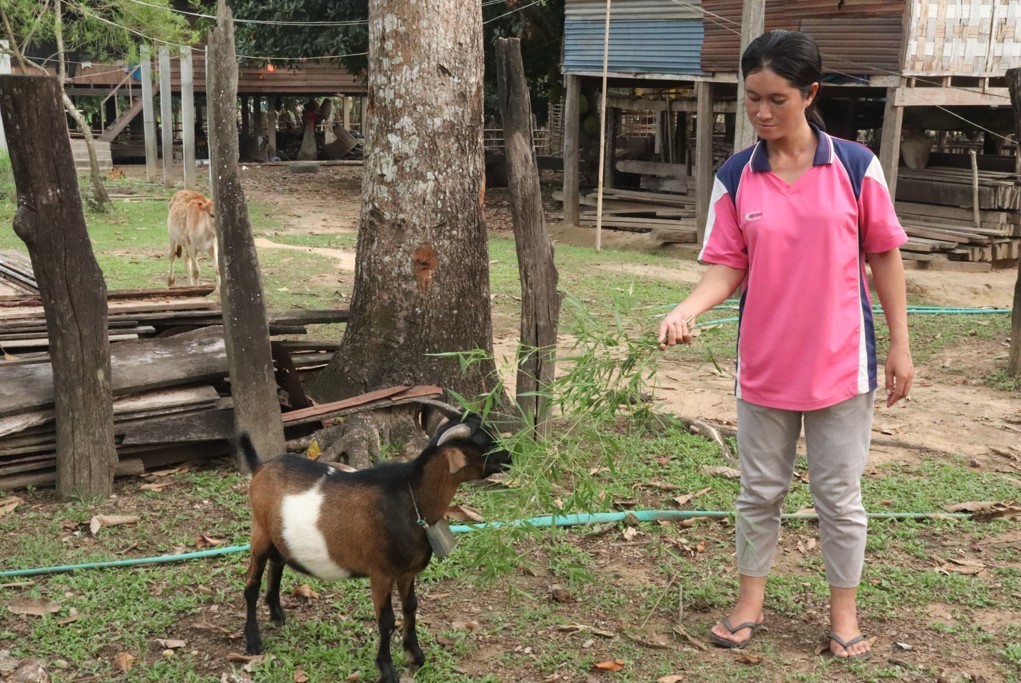 Farmersclub - Humana People to People Laos