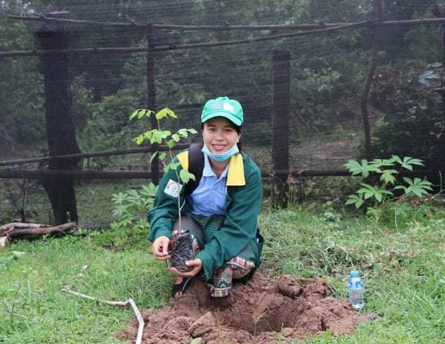 treeplanting