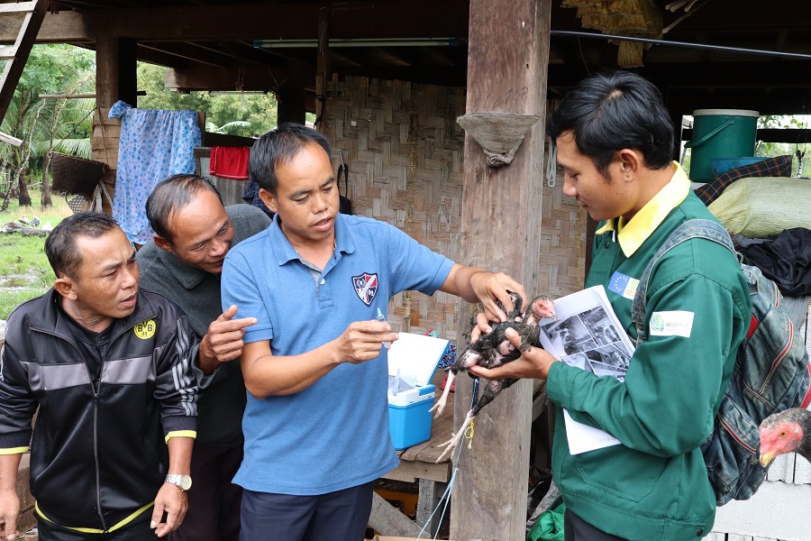 Every village's Veterinary Worker has received training in livestock management and disease prevention